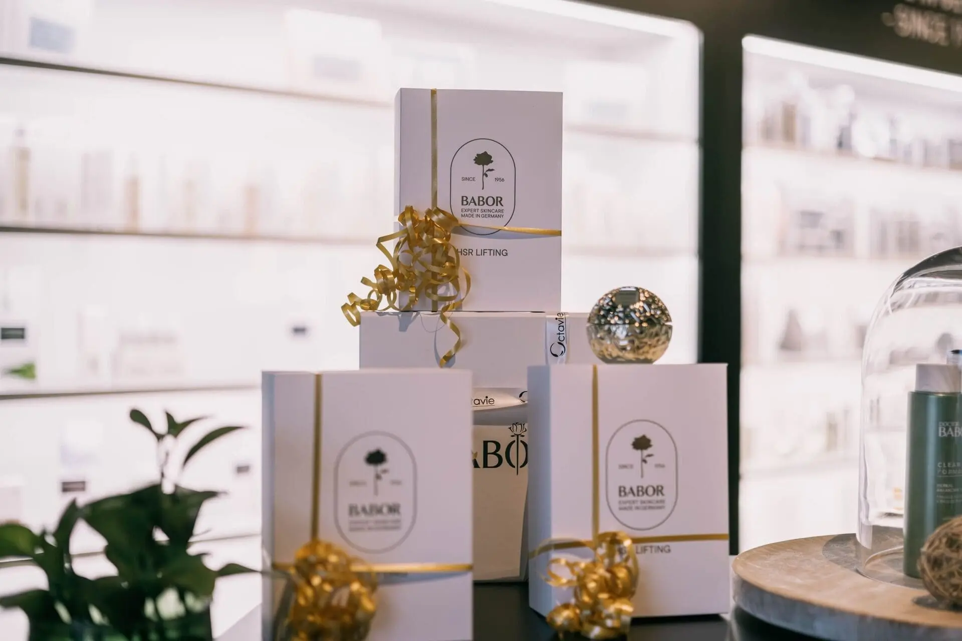 octavie-spa-privatif-tournai-3-scaled